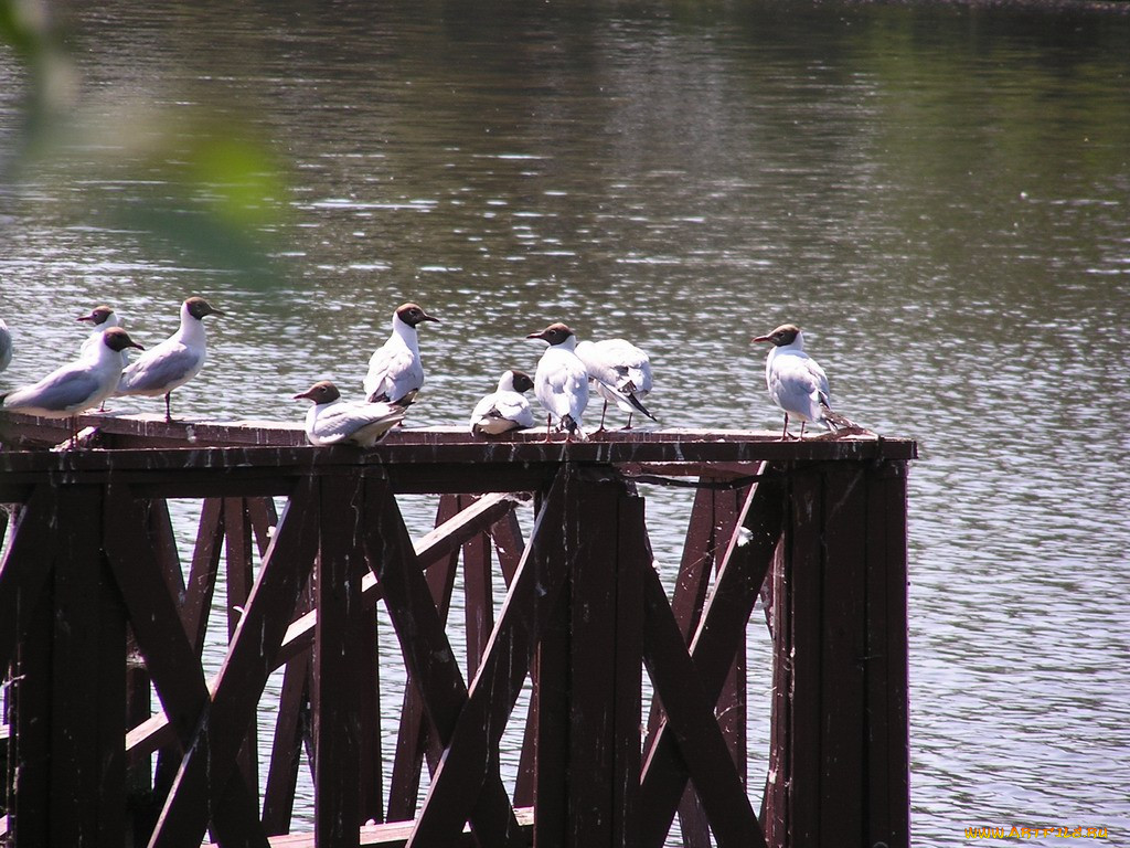 , , , 